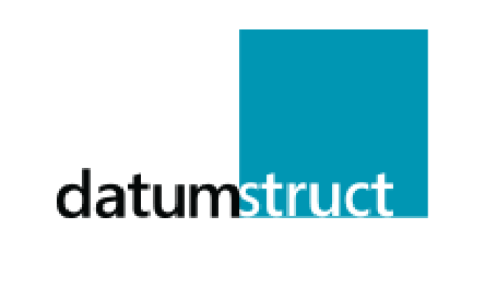 Datumstruct logo